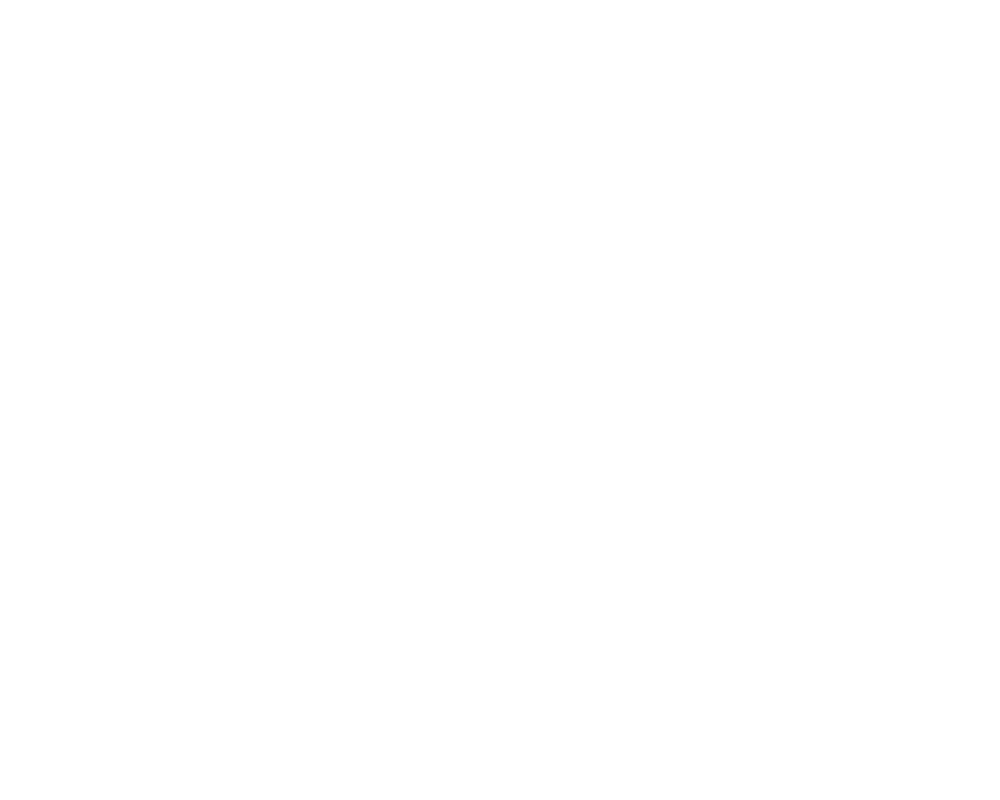 jaipurbizzarre logo_white